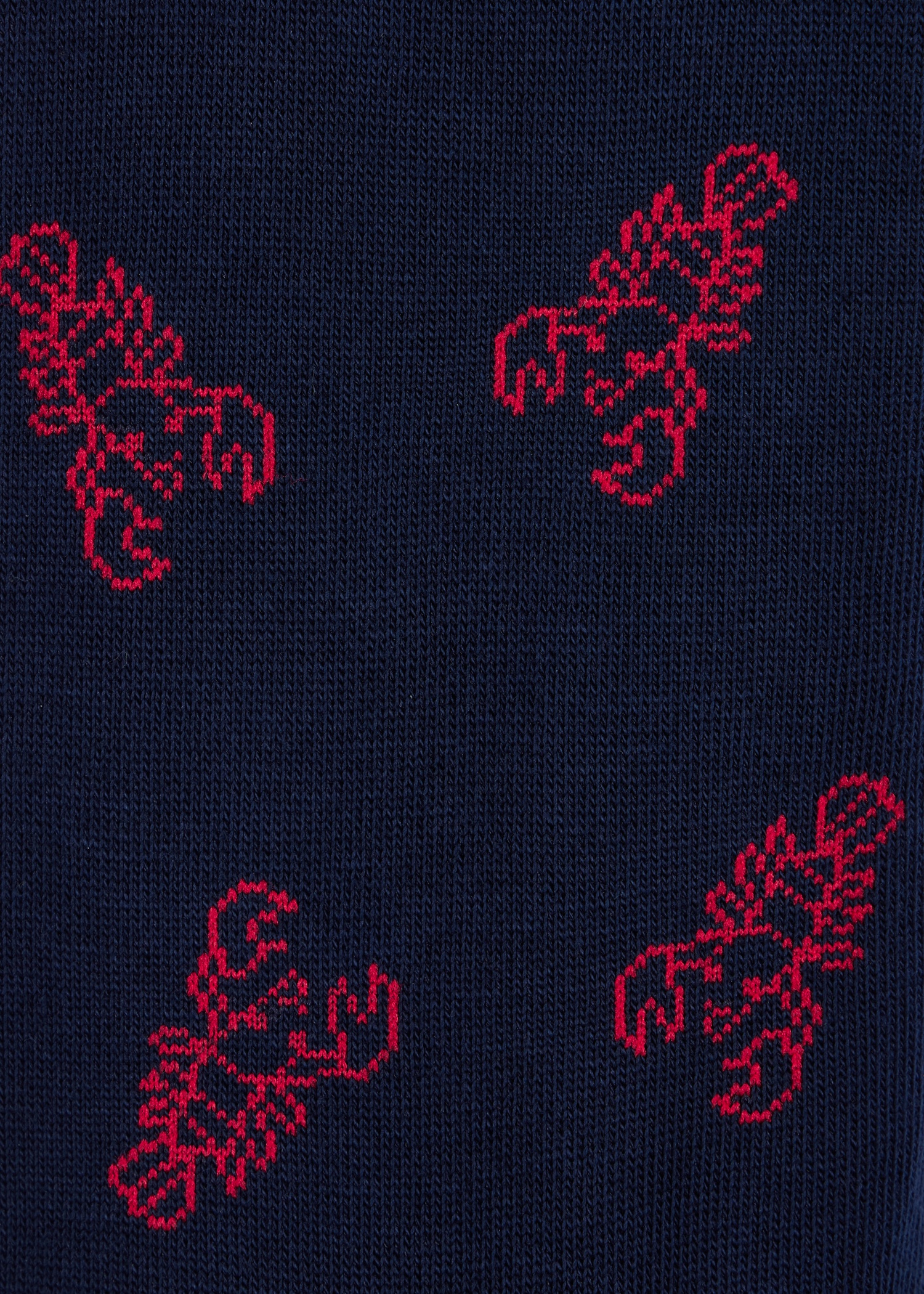 Navy 'Lobster' Socks - 3
