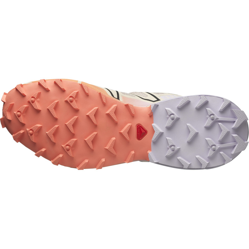 SALOMON SPEEDCROSS 3 outlook