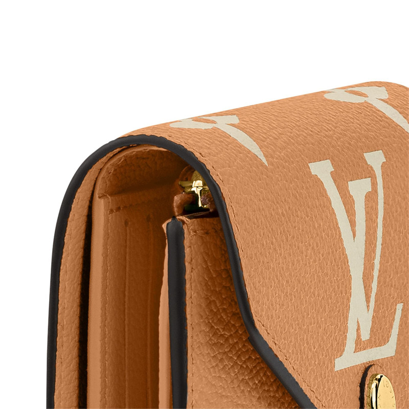 Louis Vuitton Victorine Wallet outlook