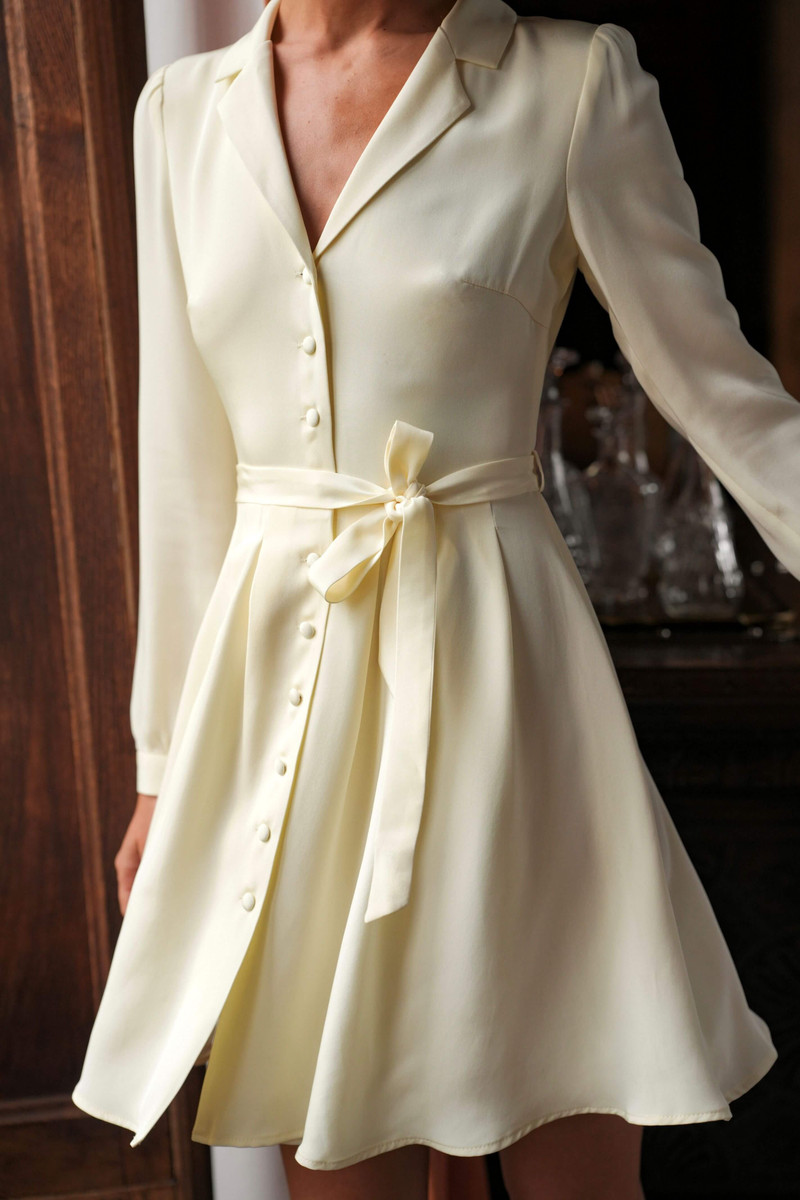 Noella Button Down Dress 12