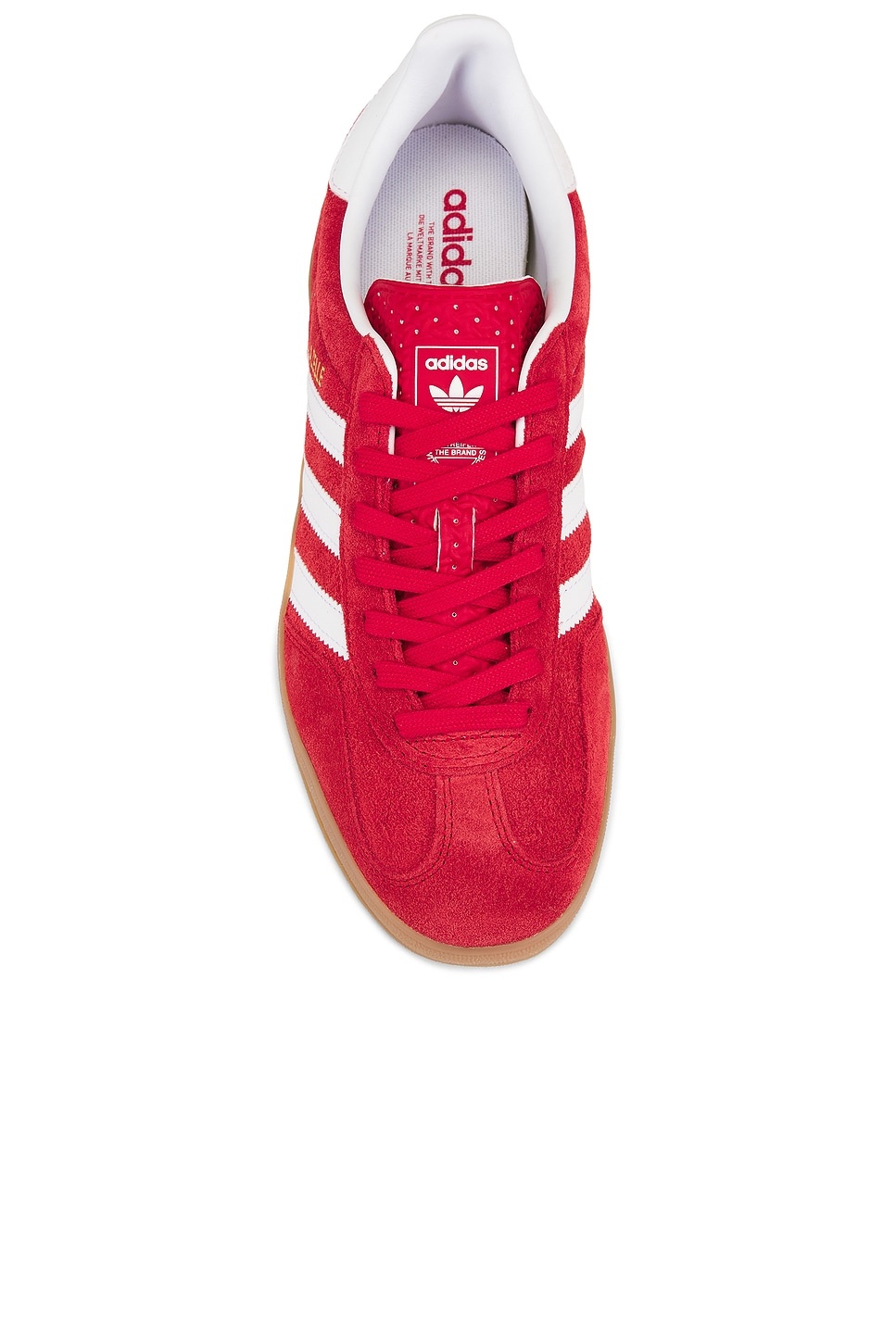 Gazelle Indoor - 4