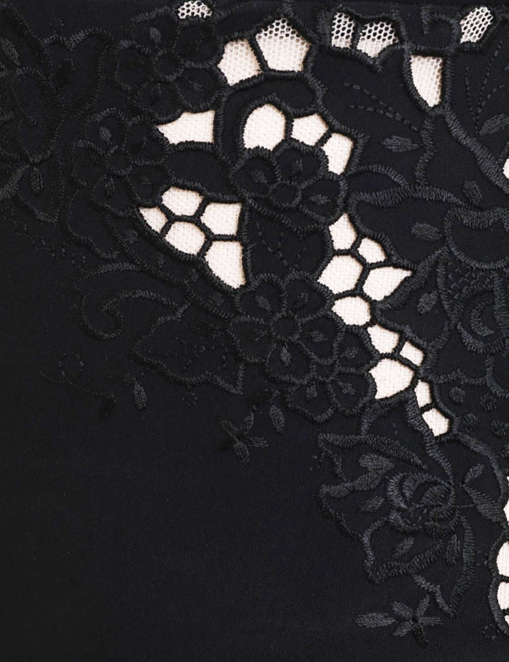 GINGER EMBROIDERED BIKINI - 6