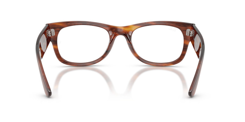MEGA WAYFARER II OPTICS 6