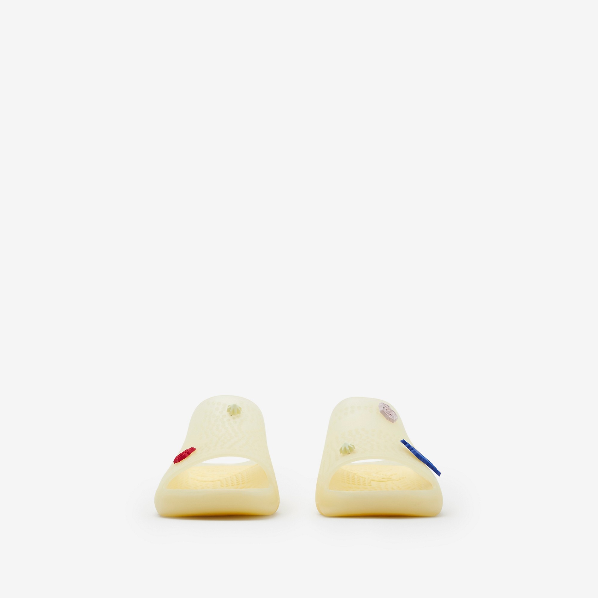 Rubber Stingray Slides - 3