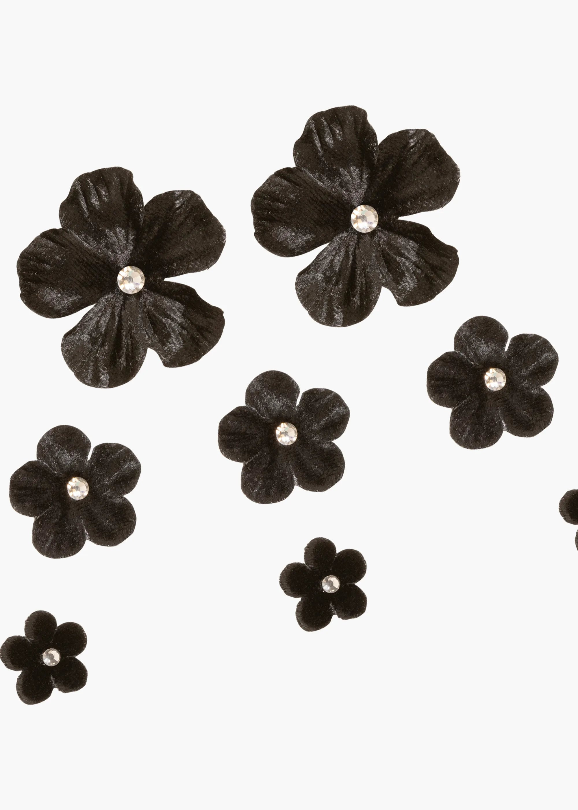 Viola Hair Magnet Set - 6