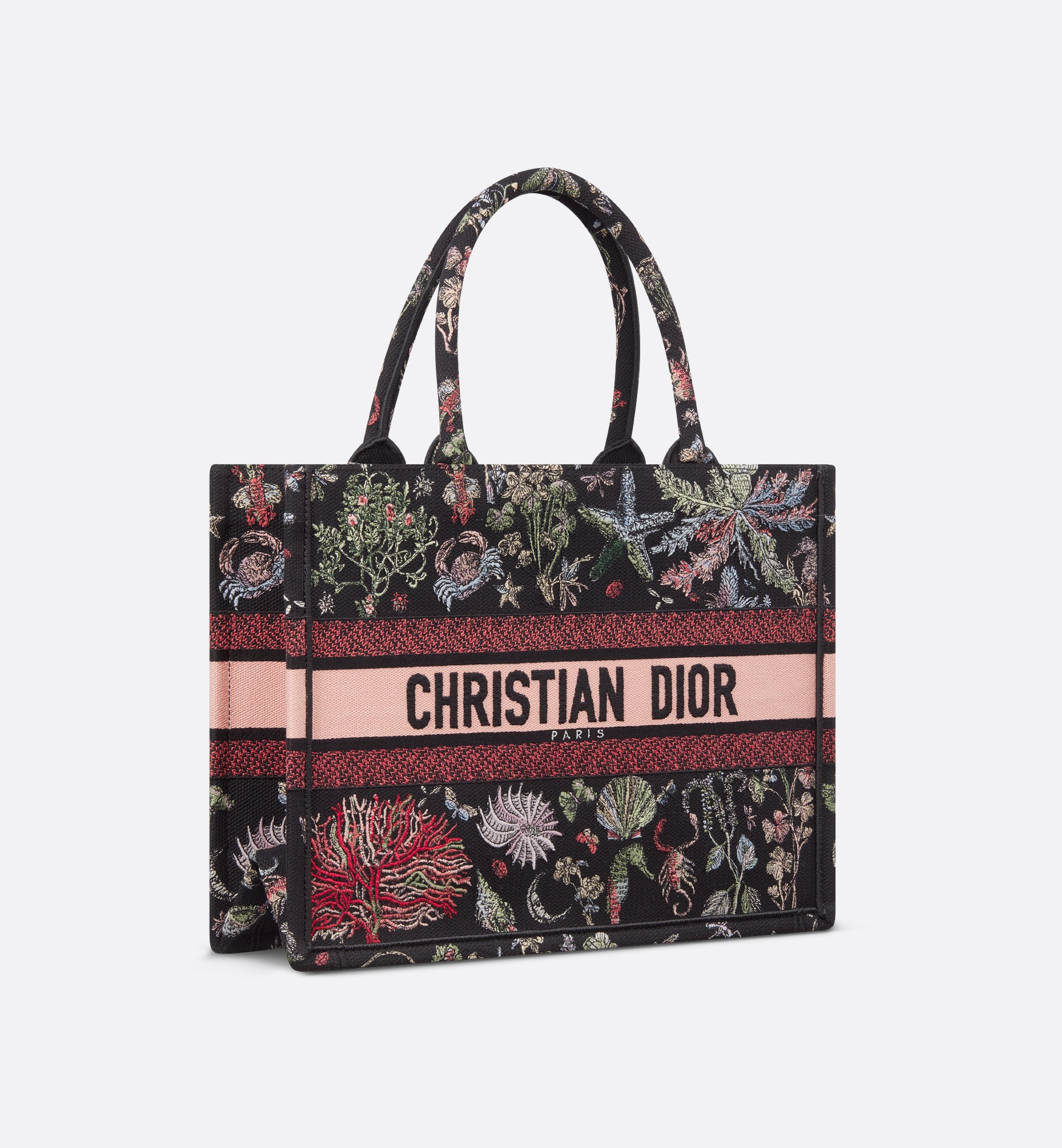 Medium Dior Book Tote - 3