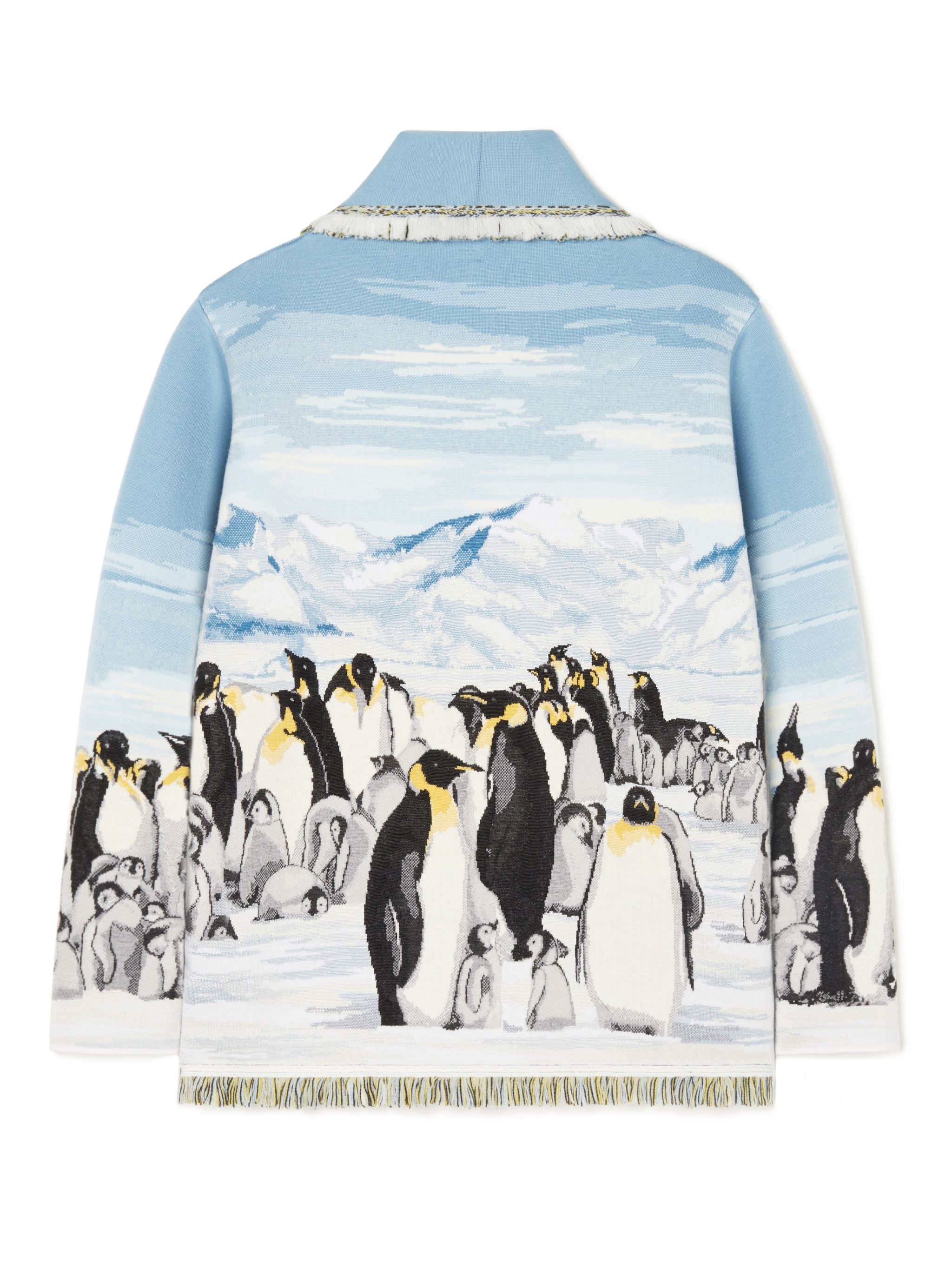 Postcard From Antarctic Cardi - 2