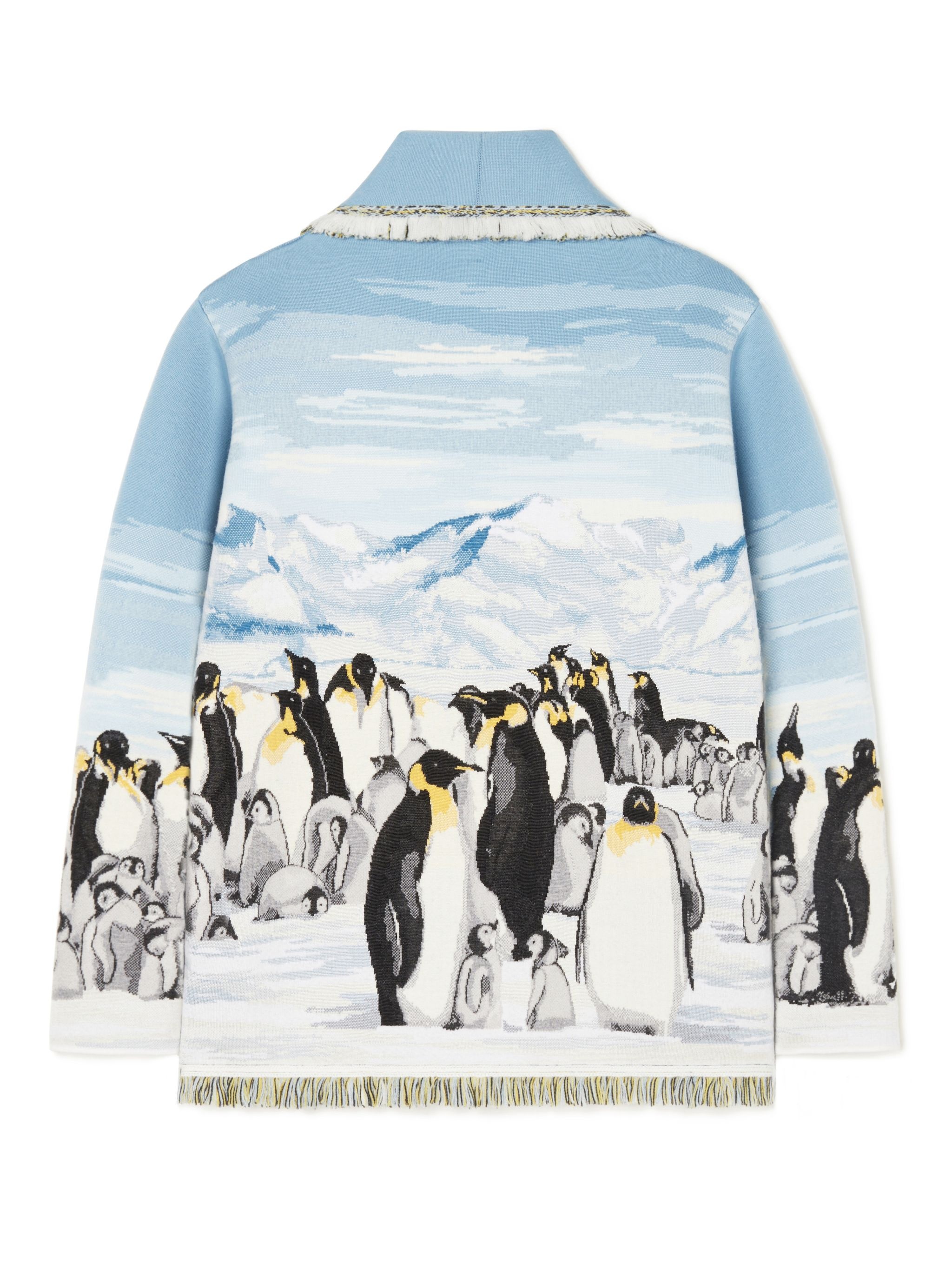 Postcard From Antarctic Cardi - 1