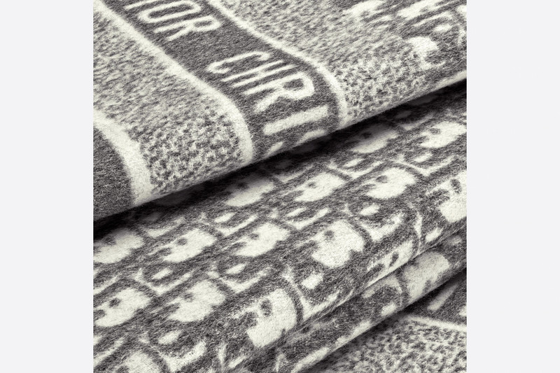 Dior Oblique Blanket 4
