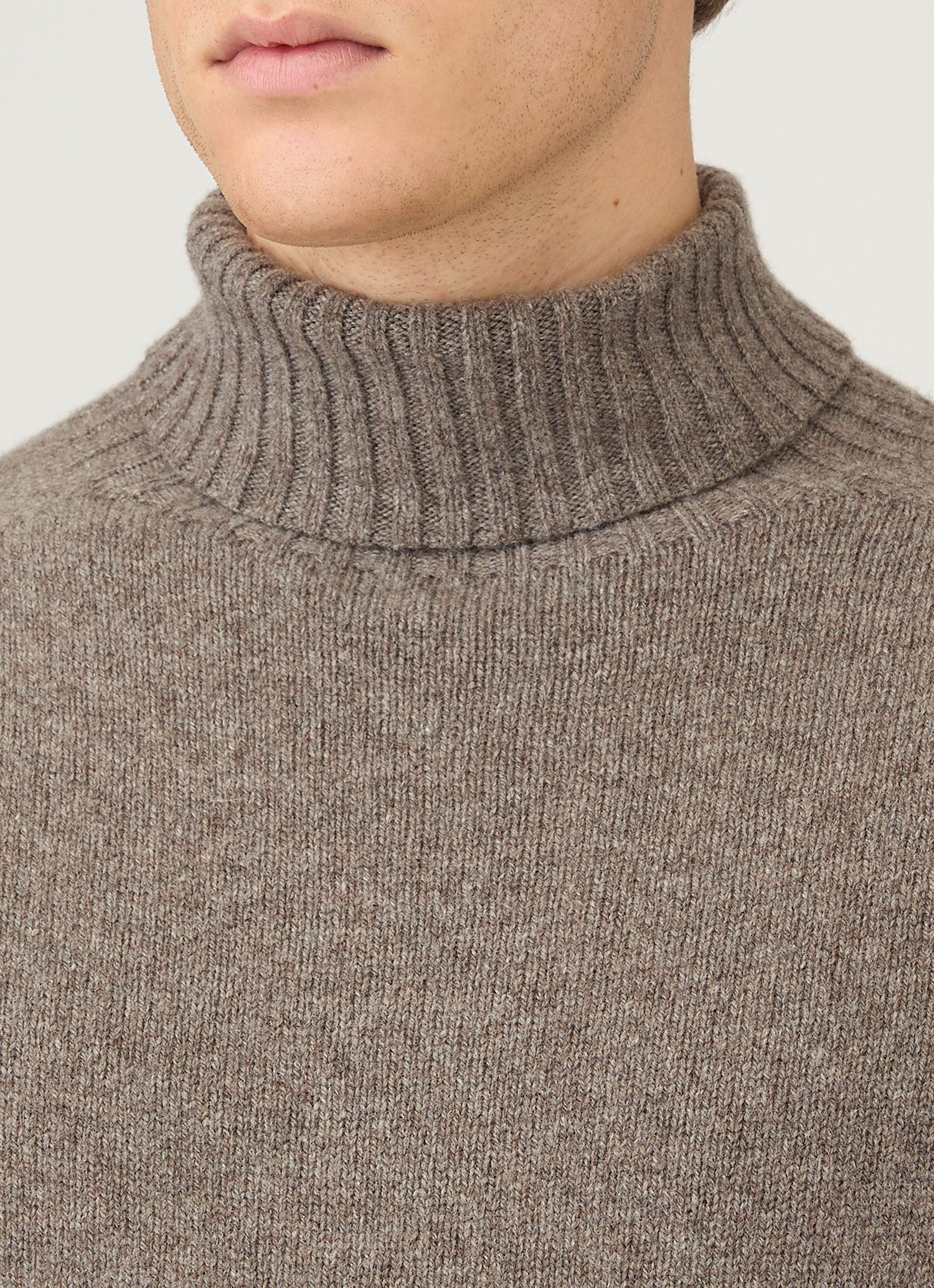 Lambswool Roll Neck - 6