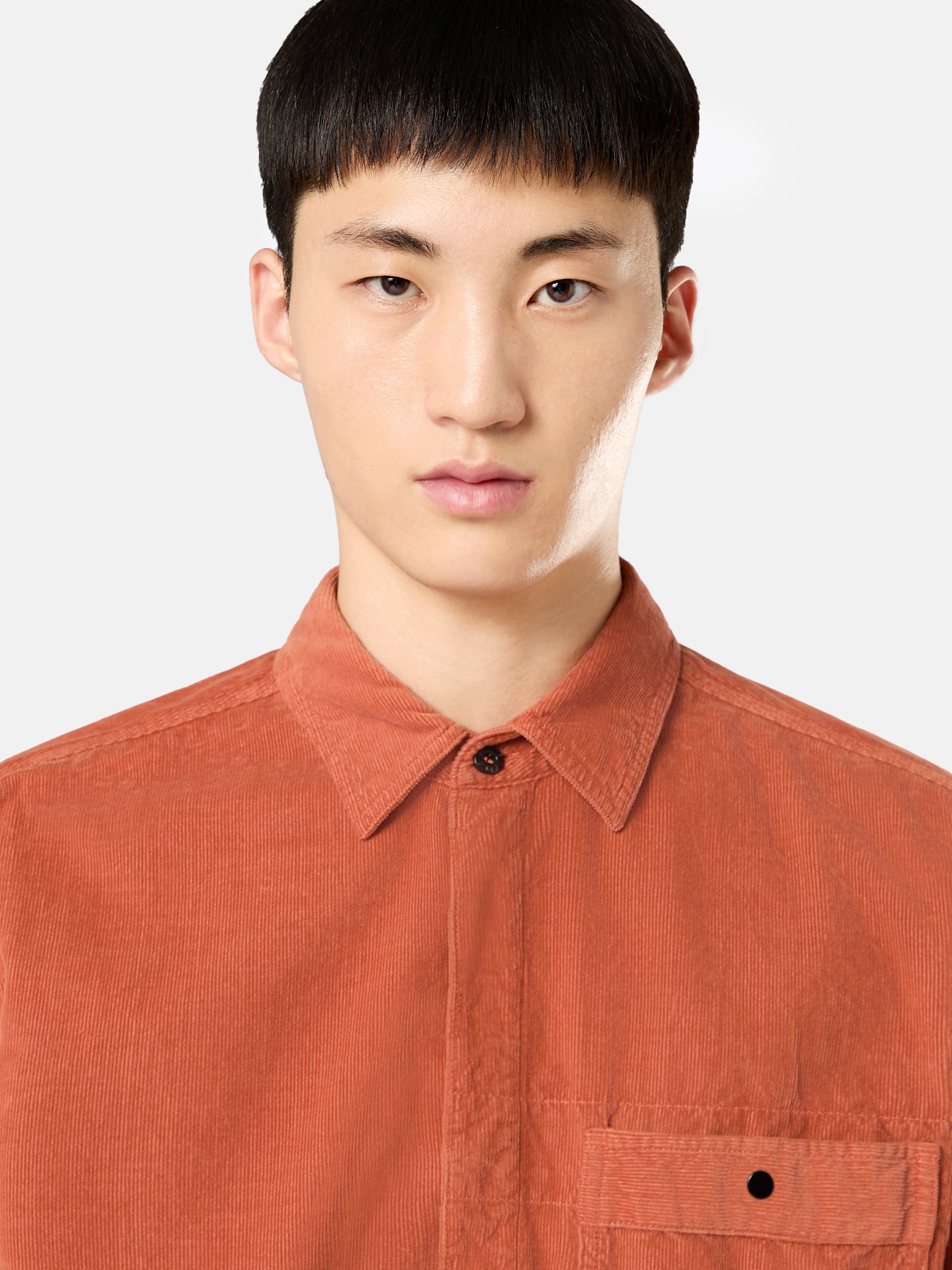 12707 MICRO CORDUROY - 3