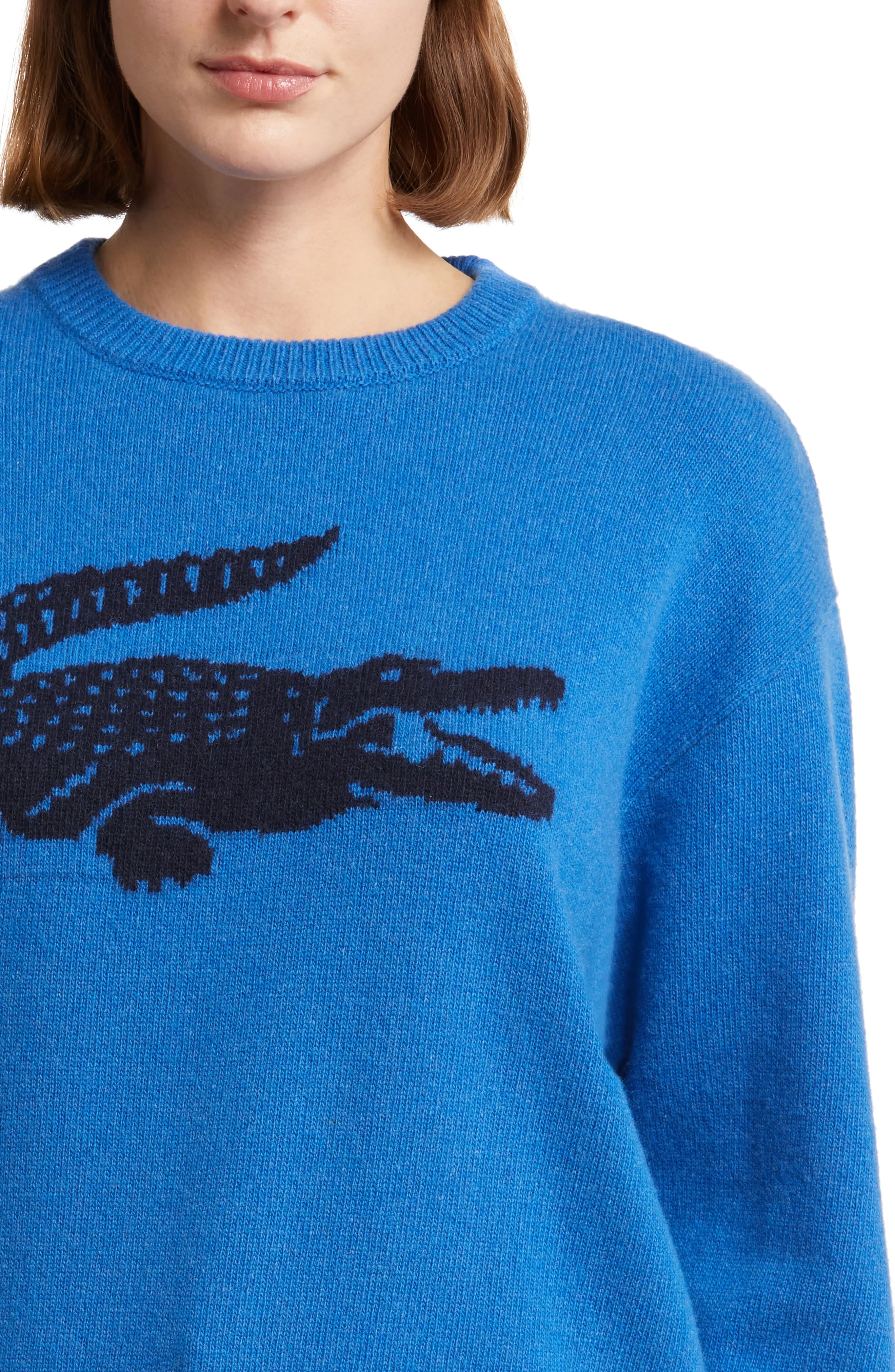 Big Croc Cashmere & Wool Crewneck Sweater in Iq2 Hilo/Marine - 4