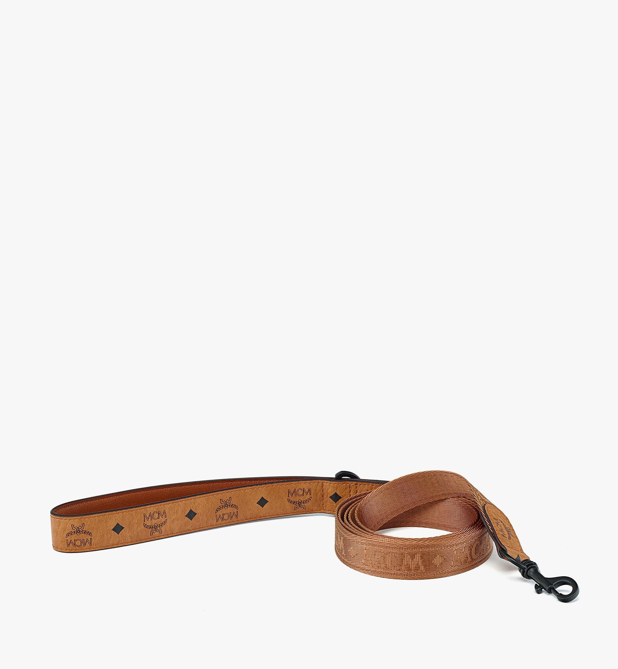 Pet Leash in Visetos - 2