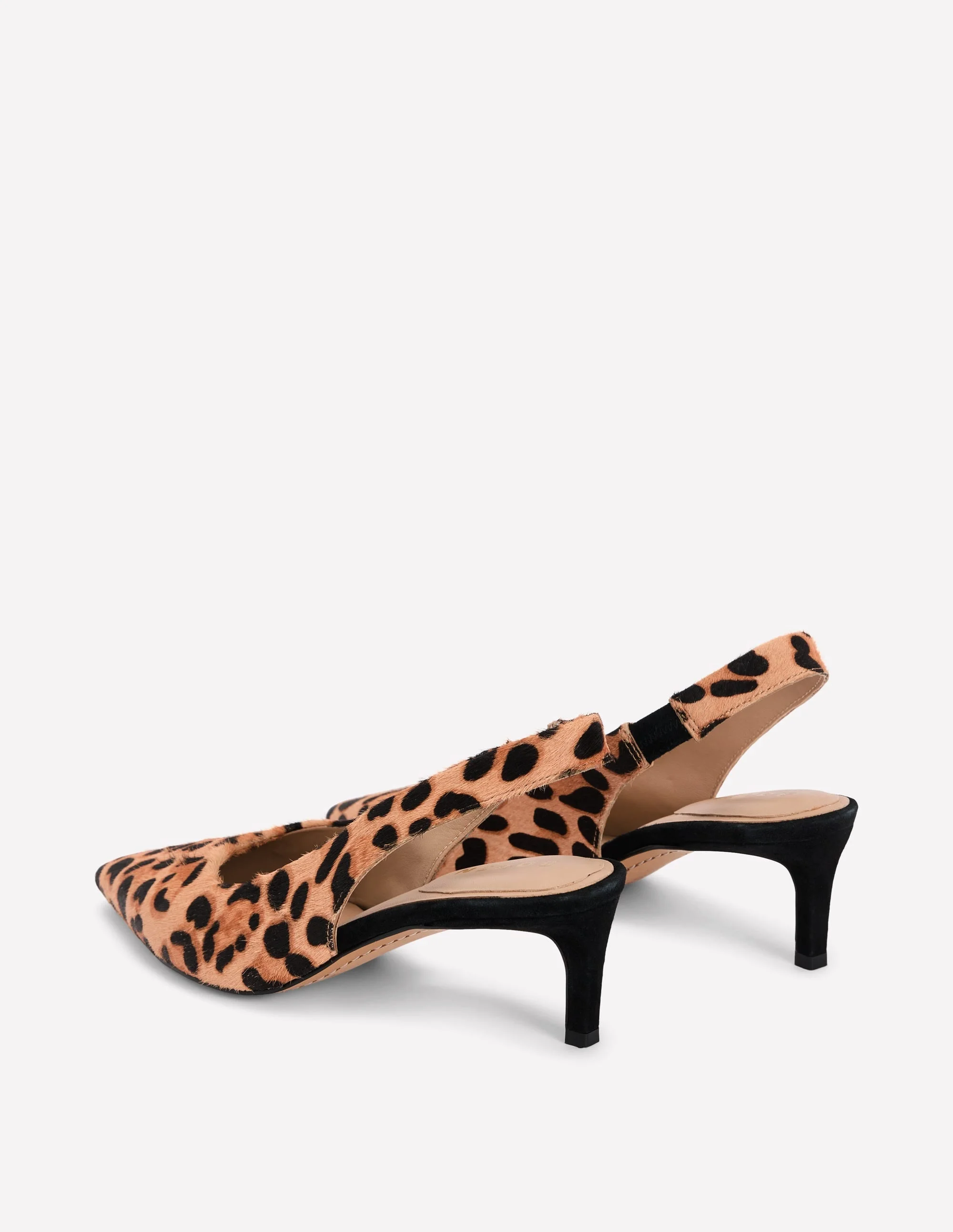 Hope Pointed Slingback Heels-Classic Leopard - 1