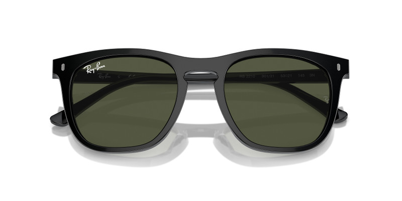 Ray-Ban RB2210 outlook