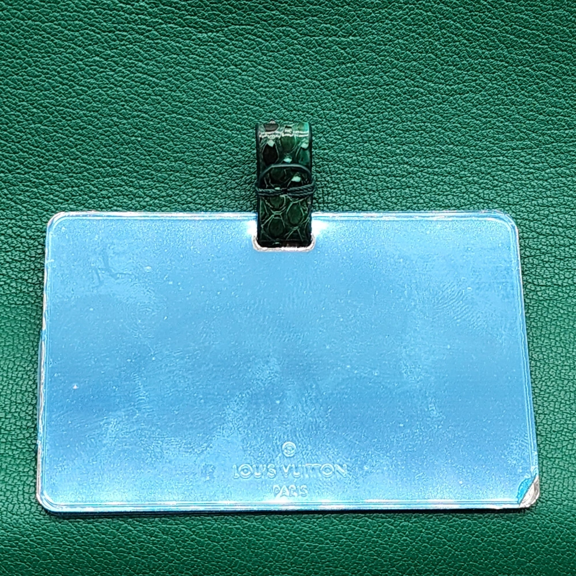 Louis Vuitton Twist MM Green Python - 12