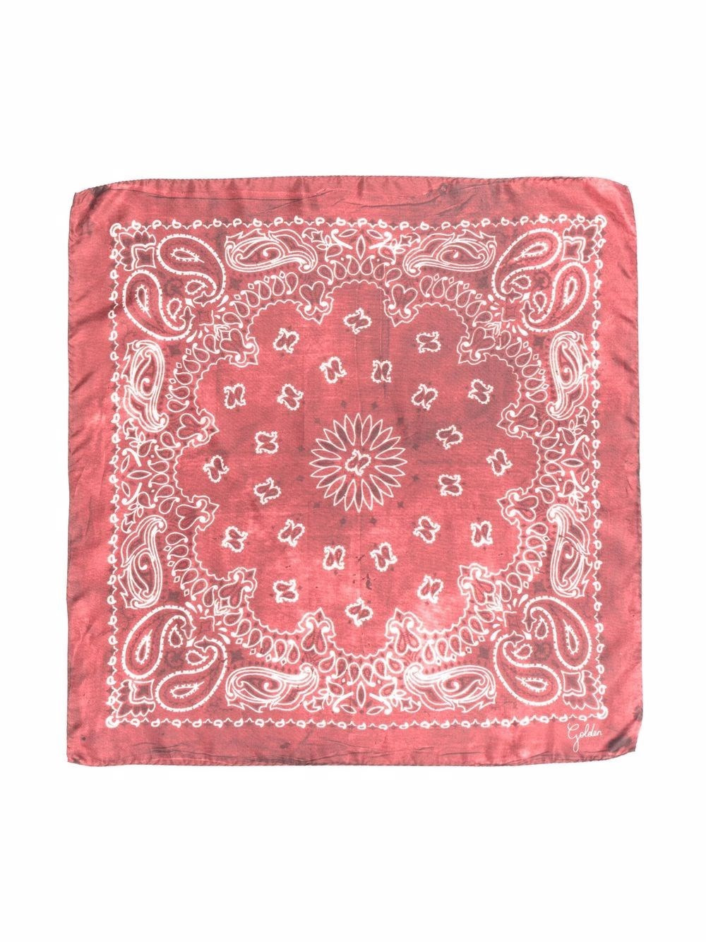 Paisley Pattern Scarf - 3