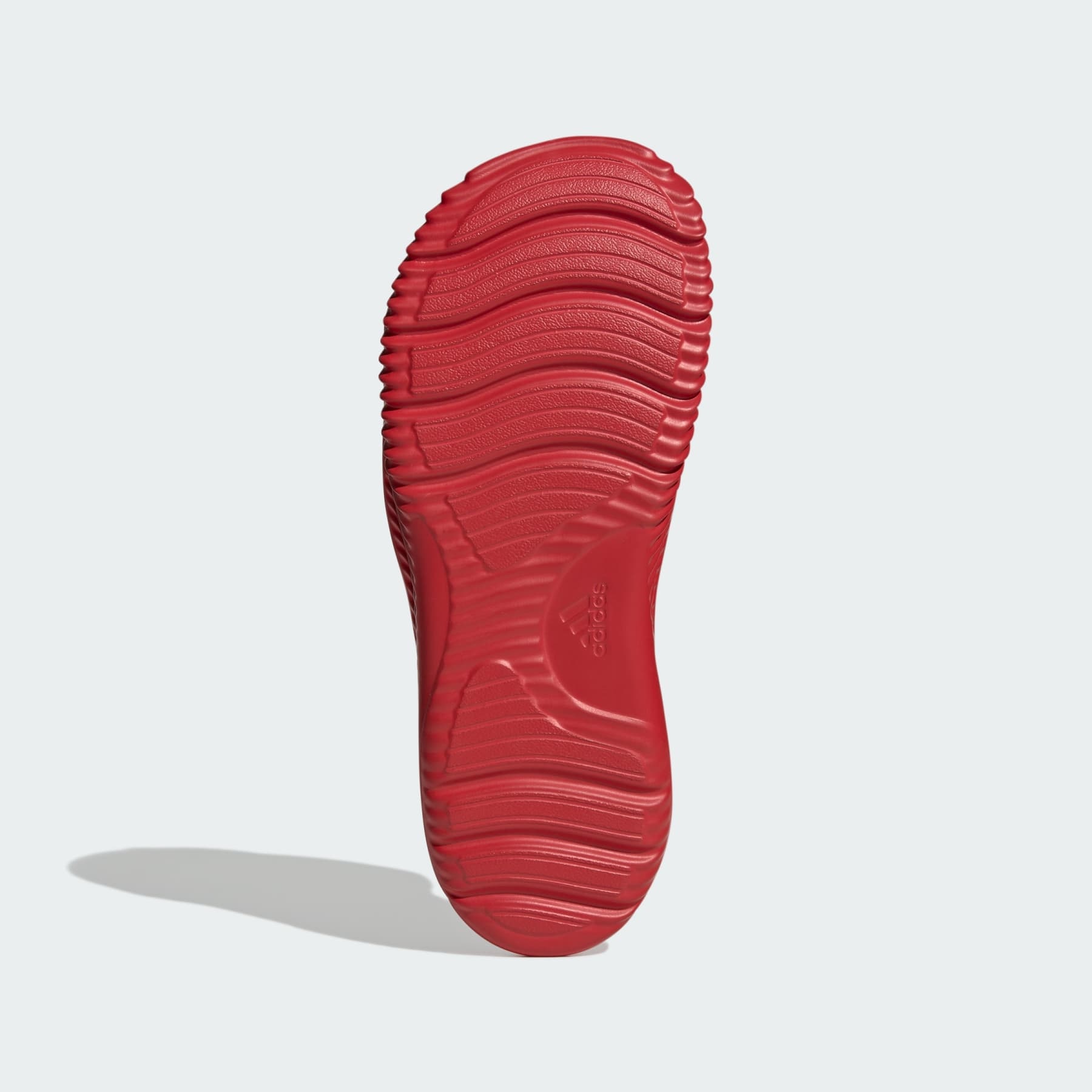 Alpharesponse 2.0 Slides - 4