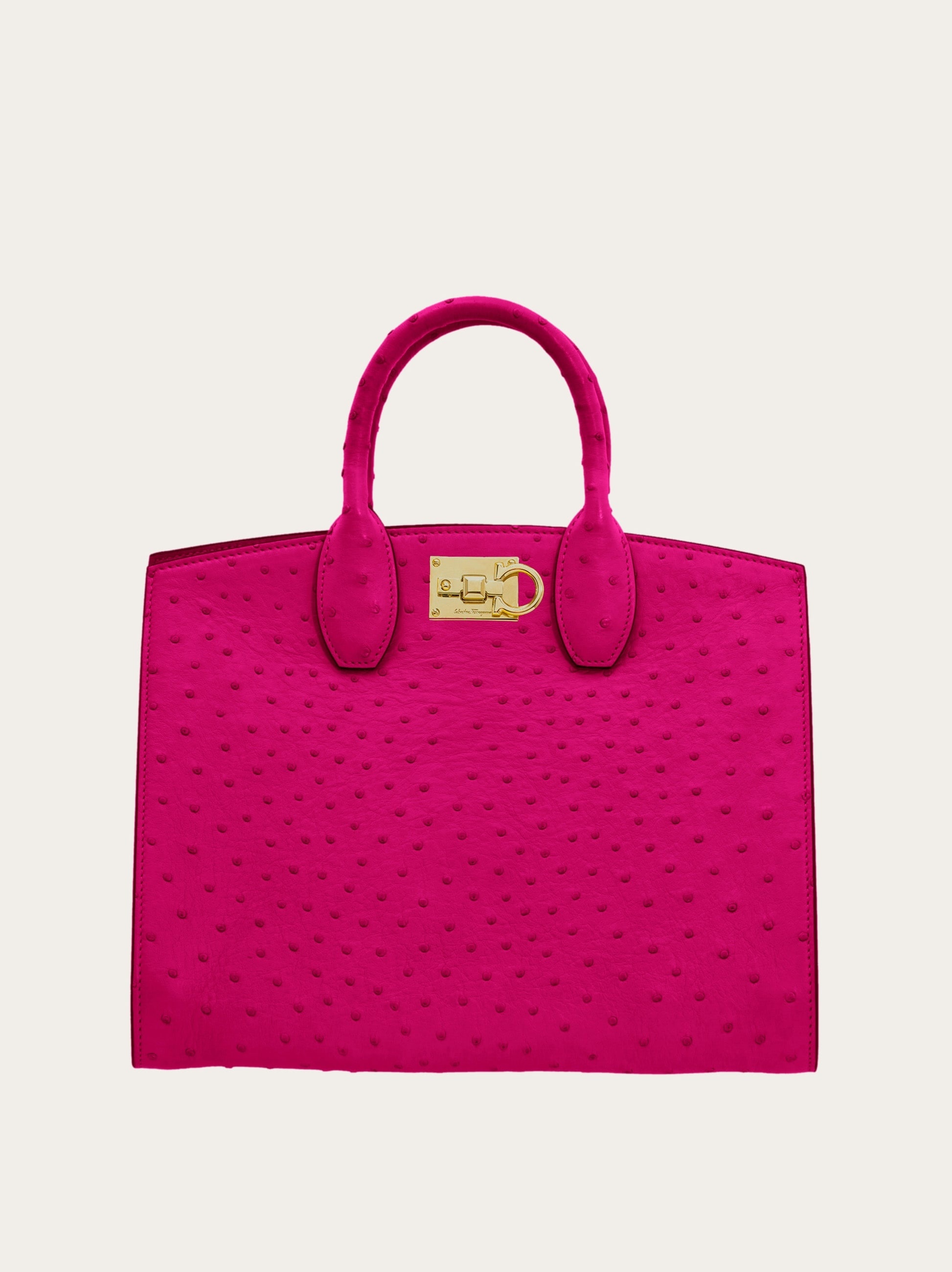 Ferragamo Studio Box bag (M) - 1
