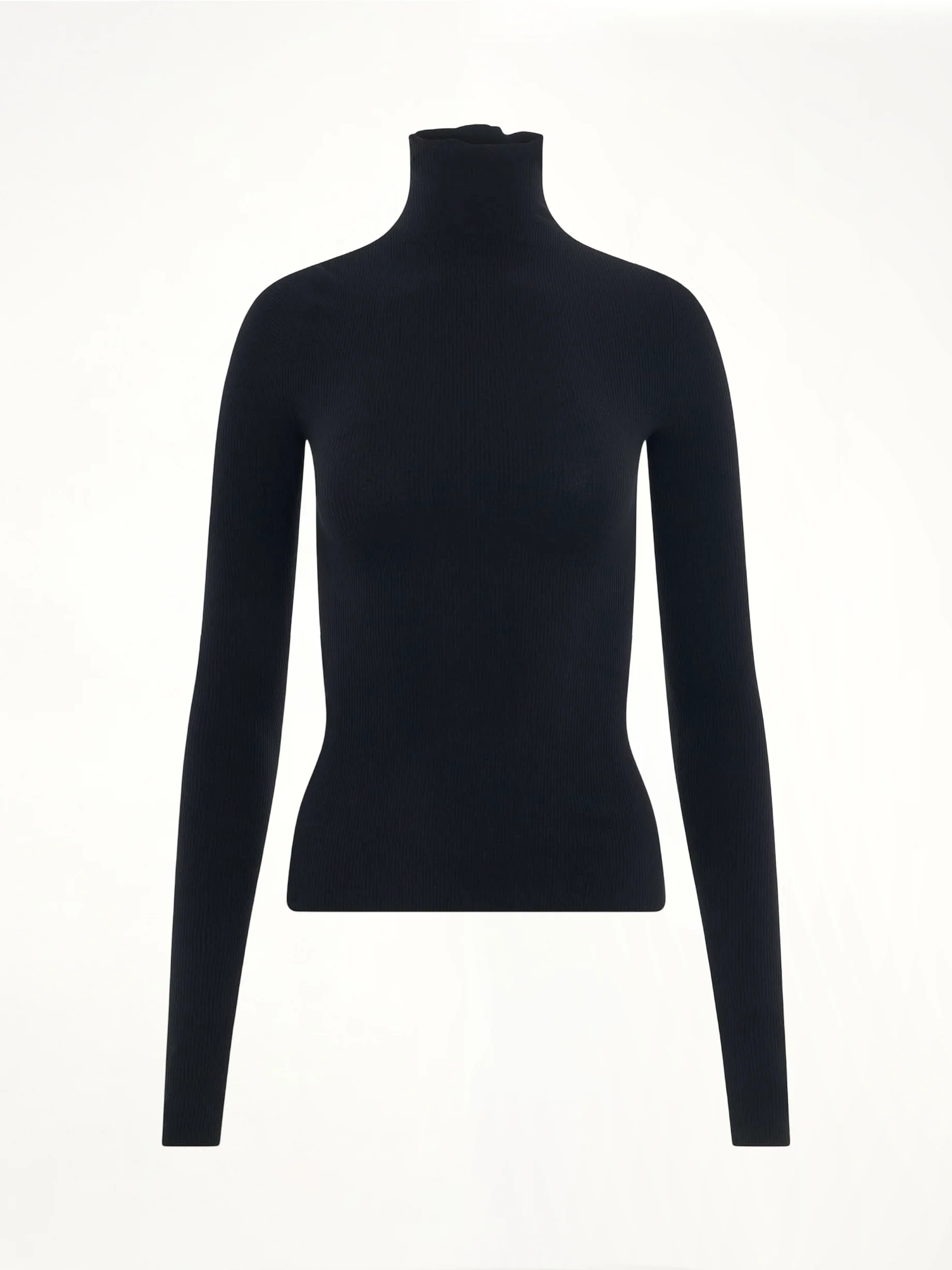 Turtleneck Sweater in Black - 1