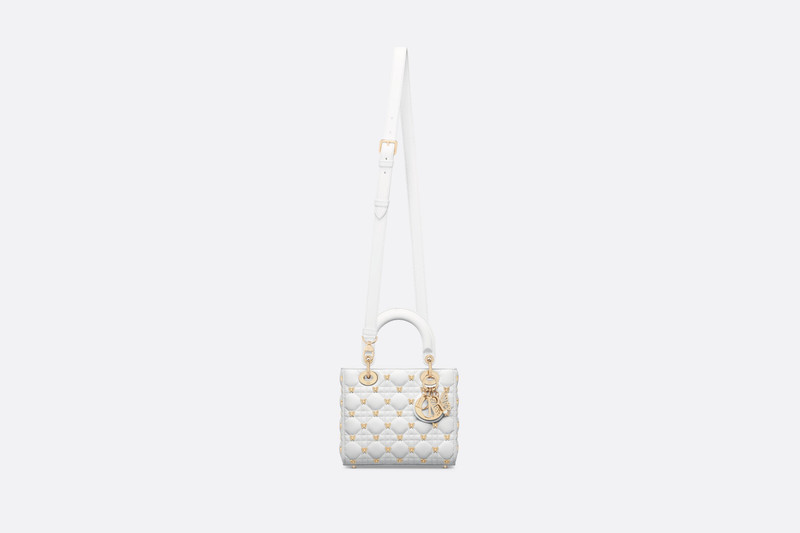 Small Lady Dior Bag 5