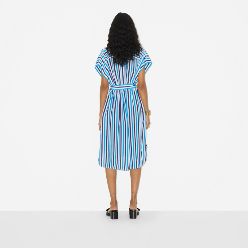 Striped Silk Shirt Dress 4