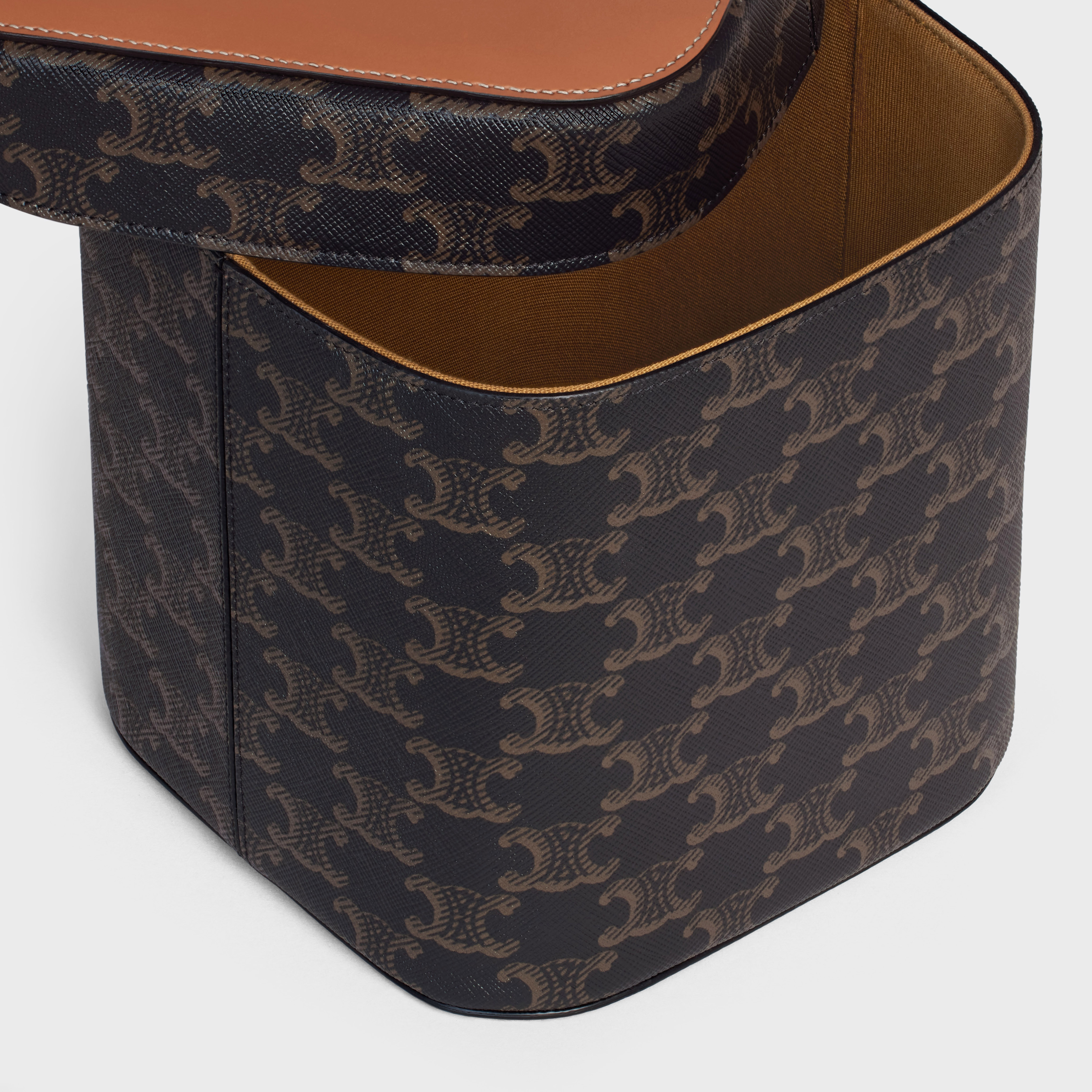 Large Box in Triomphe Canvas and Calfskin - 5