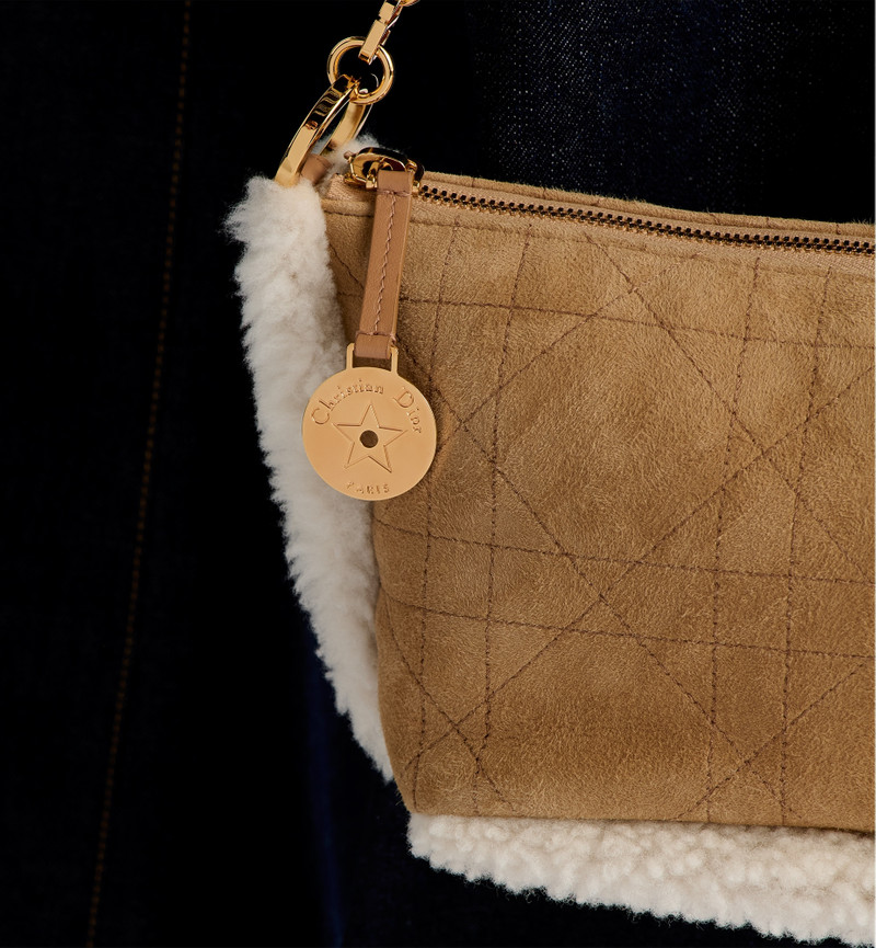 DiorAlps Diorstar Hobo Bag with Chain 6