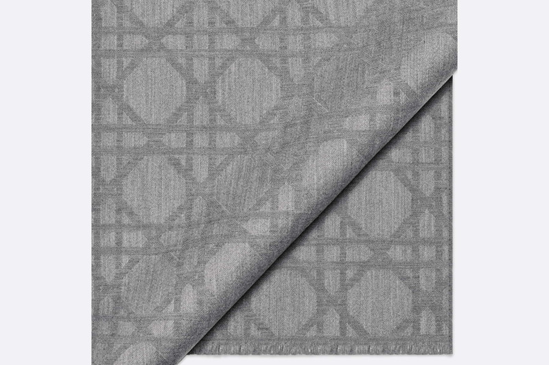 Dior Cannage Scarf outlook