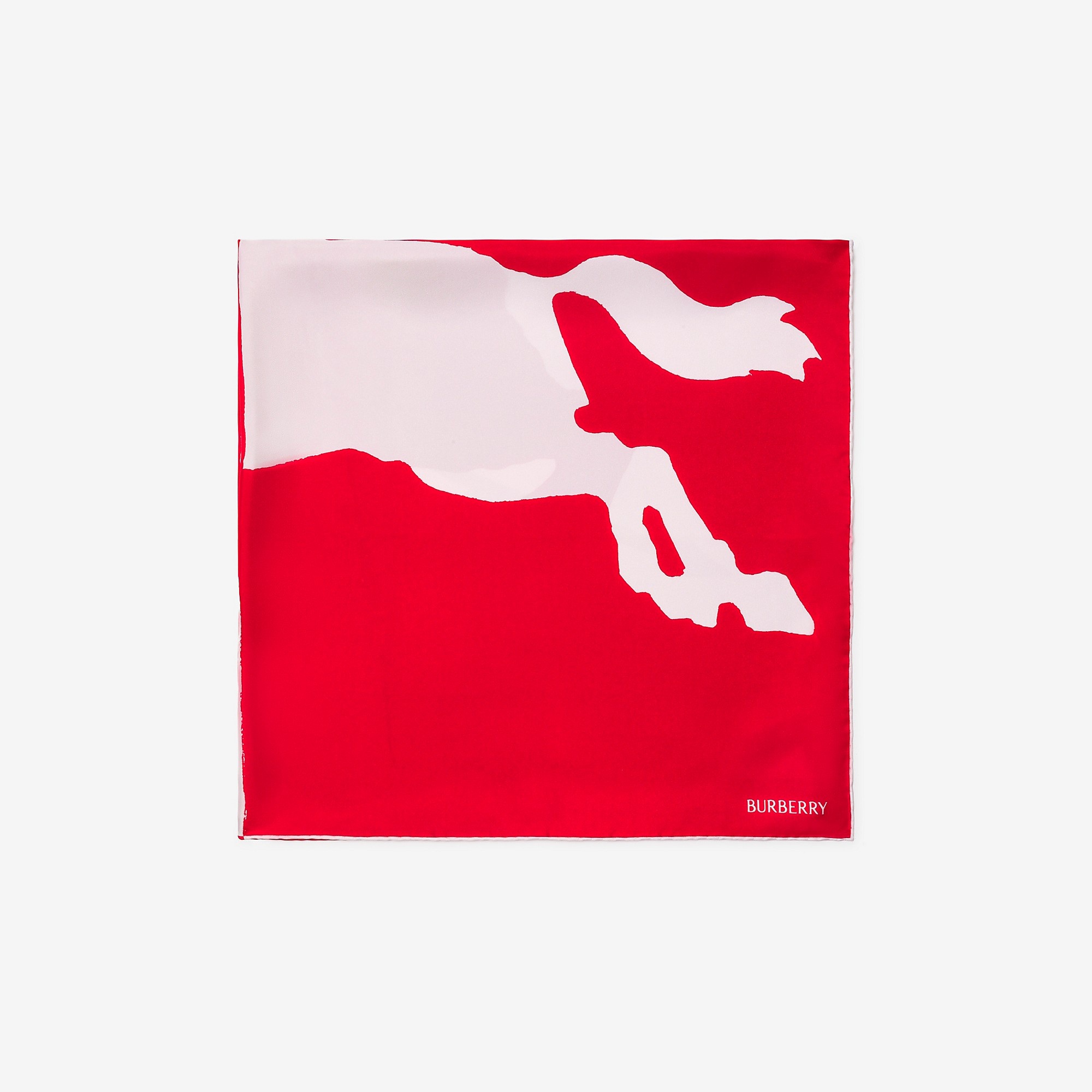 EKD Silk Scarf - 5
