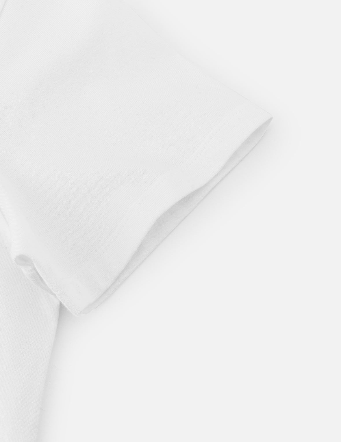 Hummingbird and Magnolia Print Regular Fit T-shirt - 8