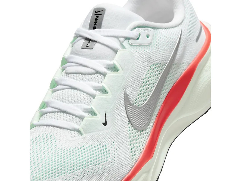 Pegasus 41 - 7
