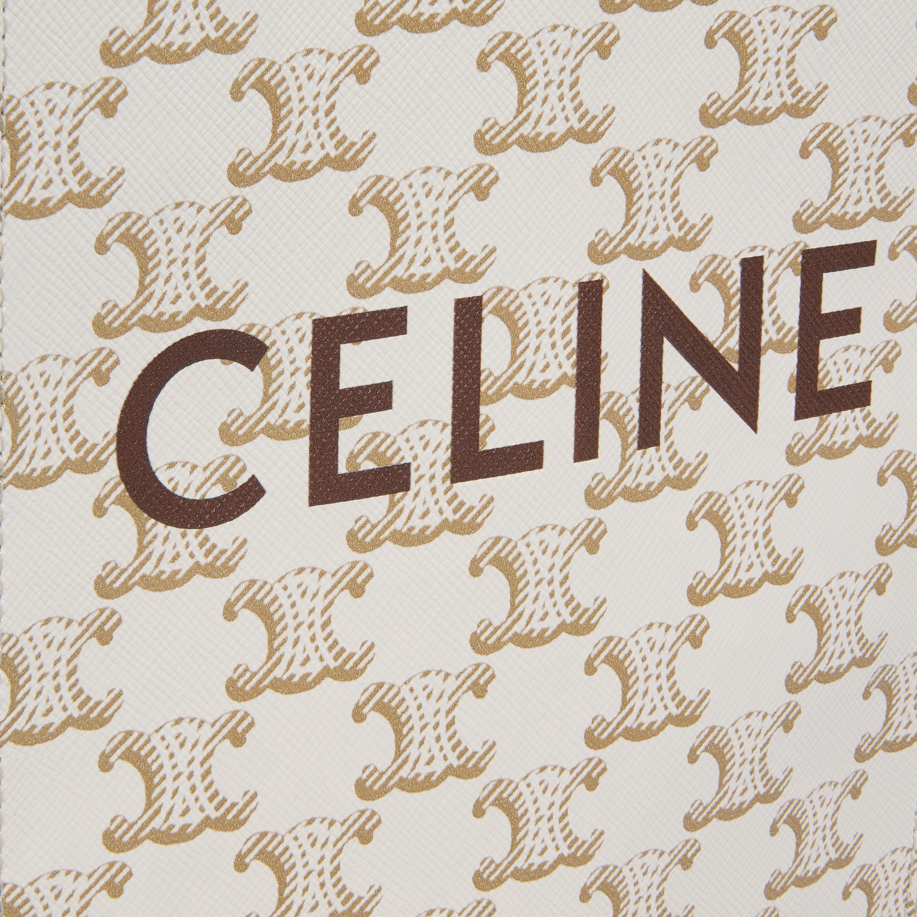 Mini Vertical Cabas in Triomphe Canvas and calfskin with Celine print - 4