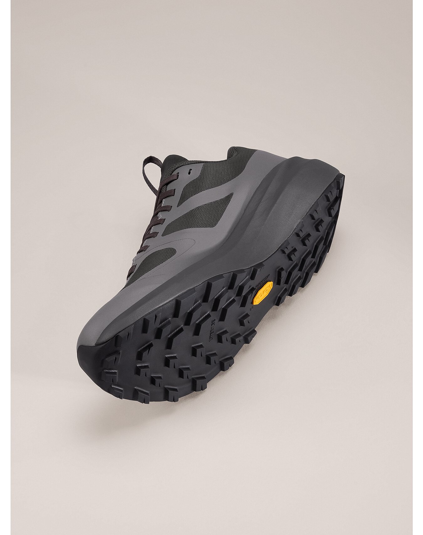 Norvan LD 3 GTX Shoe - 5