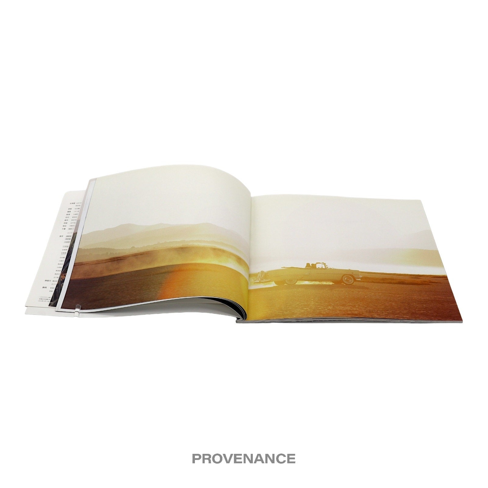 Louis Vuitton "Lame Du Voyage" Travel Look Book - 5