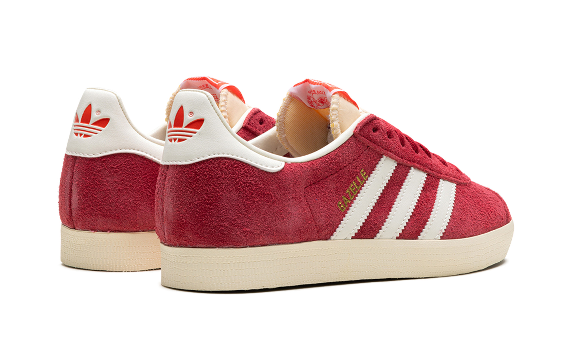 Gazelle - 3