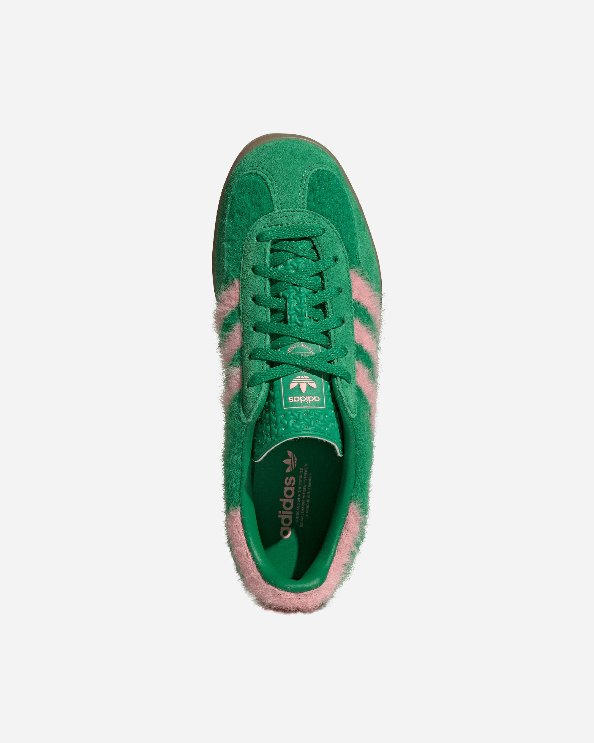 Gazelle Indoor - 4