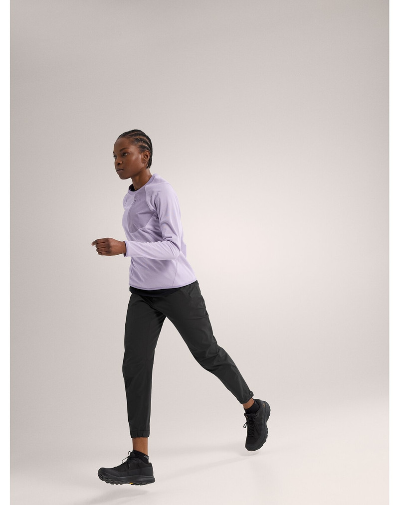 Arc'teryx Delta Crew Neck Pullover outlook
