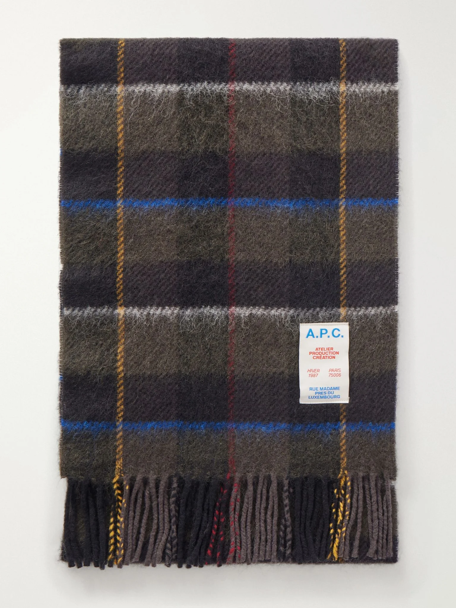 Leon Fringed Checked Virgin Wool and Alpaca-Blend Scarf Multi - 1