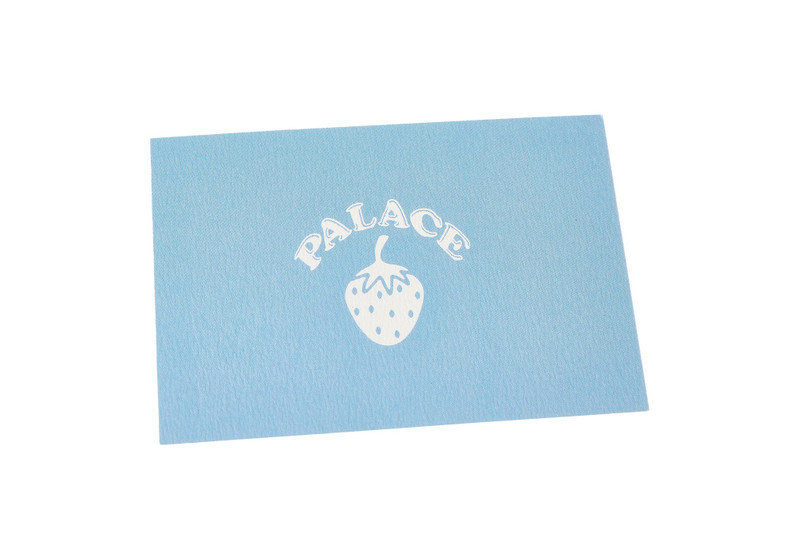 PALACE WEDGWOOD TEA POT WHITE 9