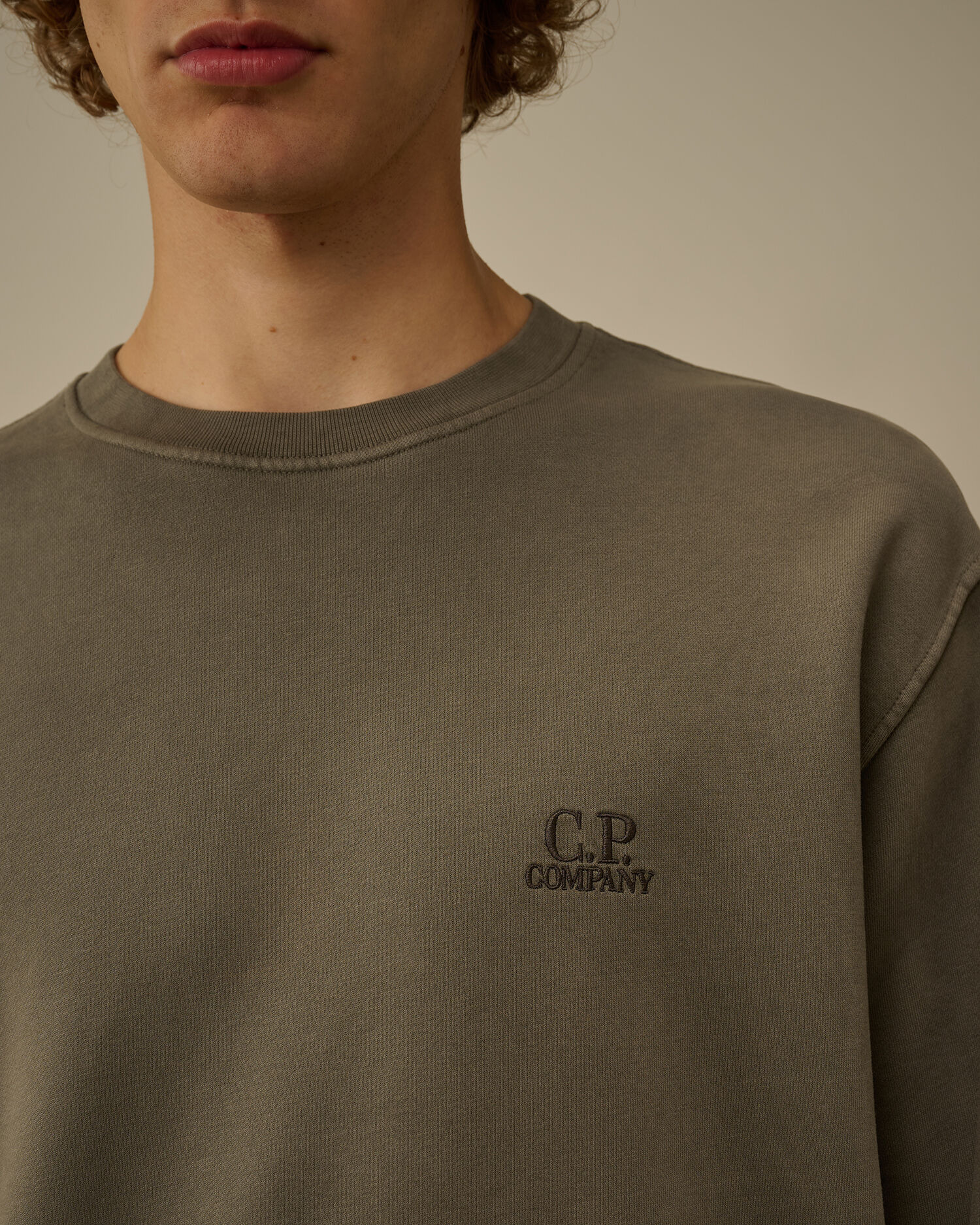 Brushed and Emerized Diagonal Fleece Crewneck Logo Sweatshirt - 5