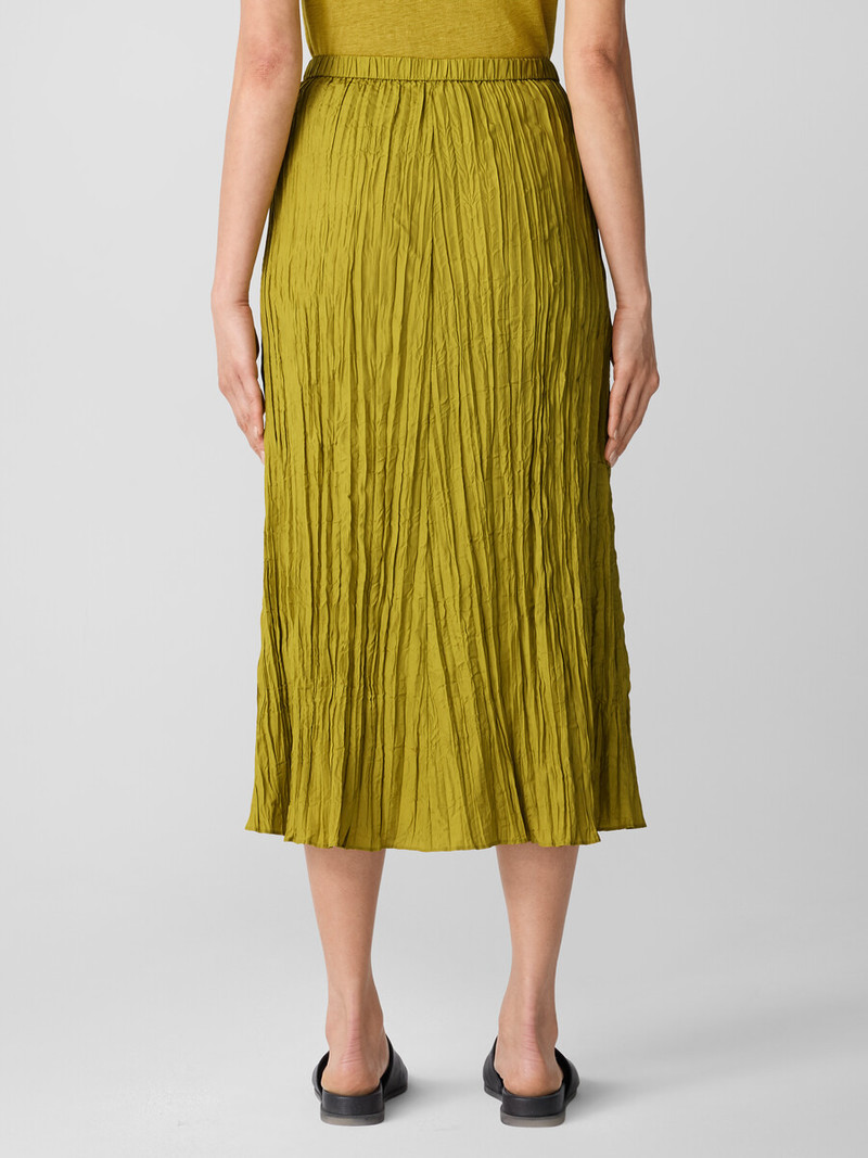 Crushed Silk Flared Skirt 4