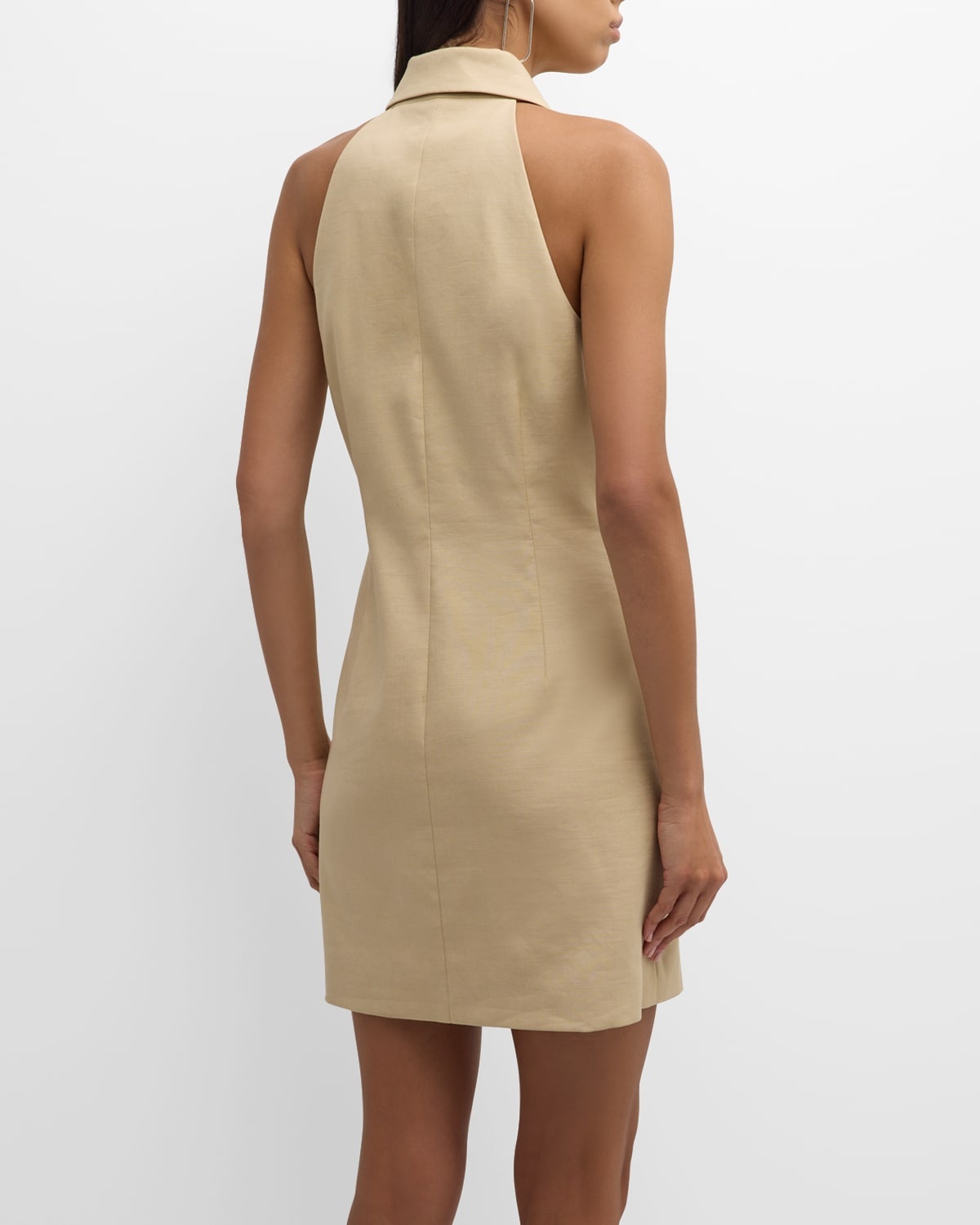 Roxanne Sleeveless Mini Dress - 6