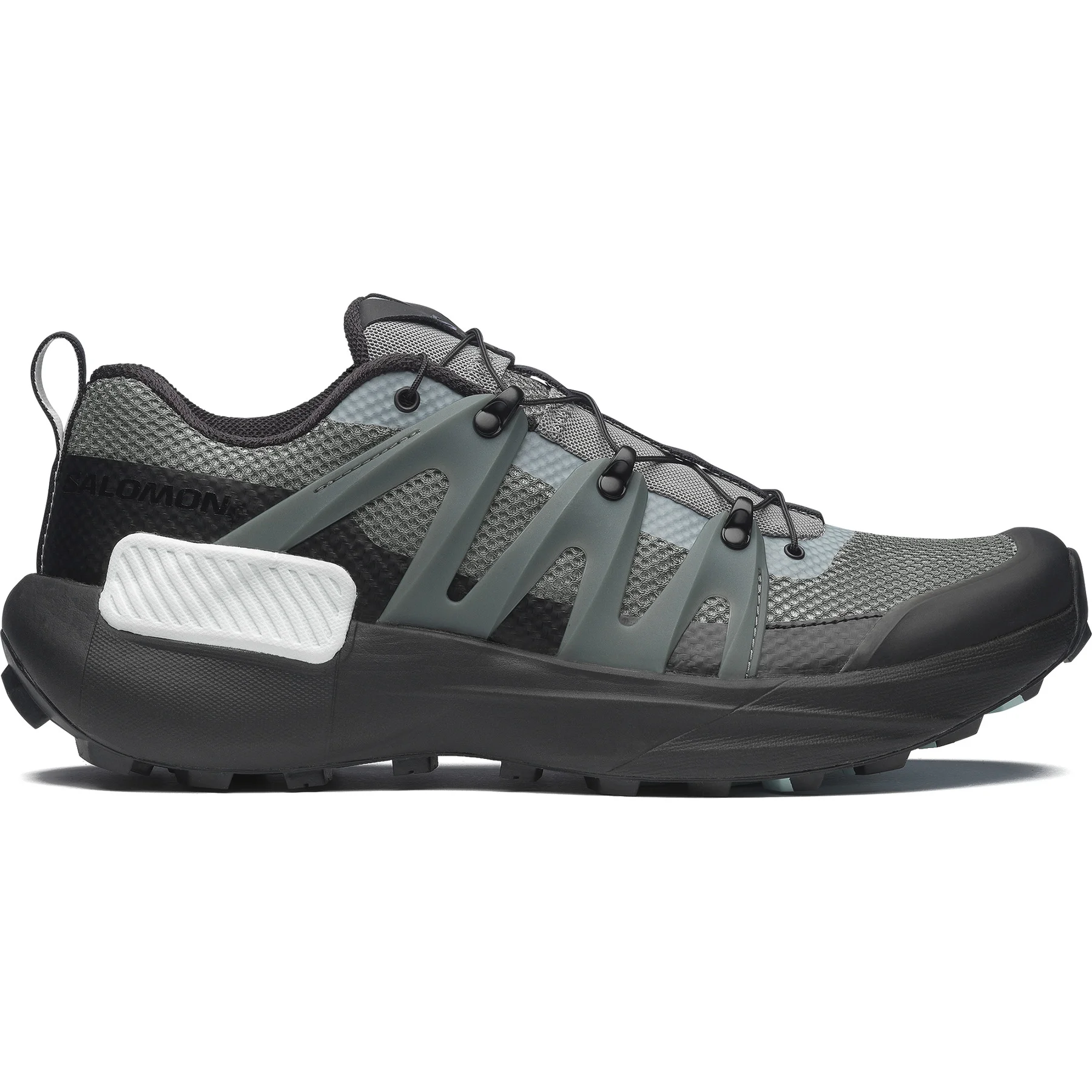 GENESIS ADVANCED - 1