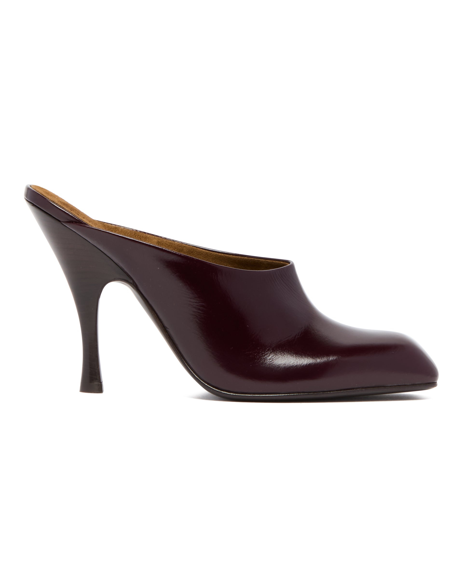 Brown Colt Mules - 2