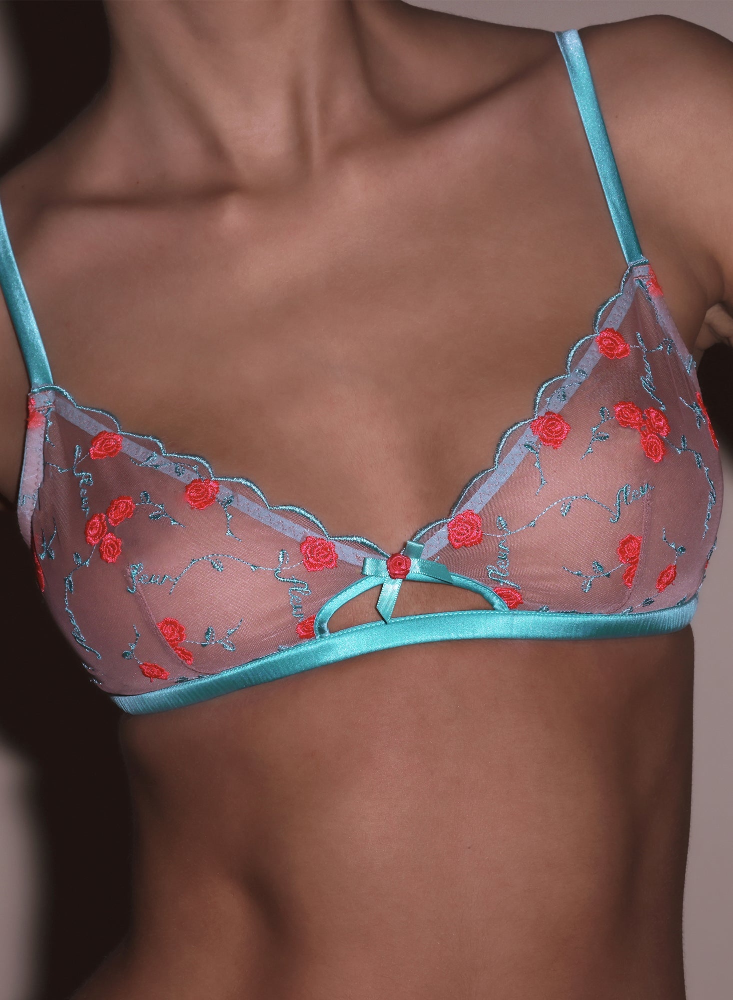 Rose & Vine Embroidery Bralette - 4