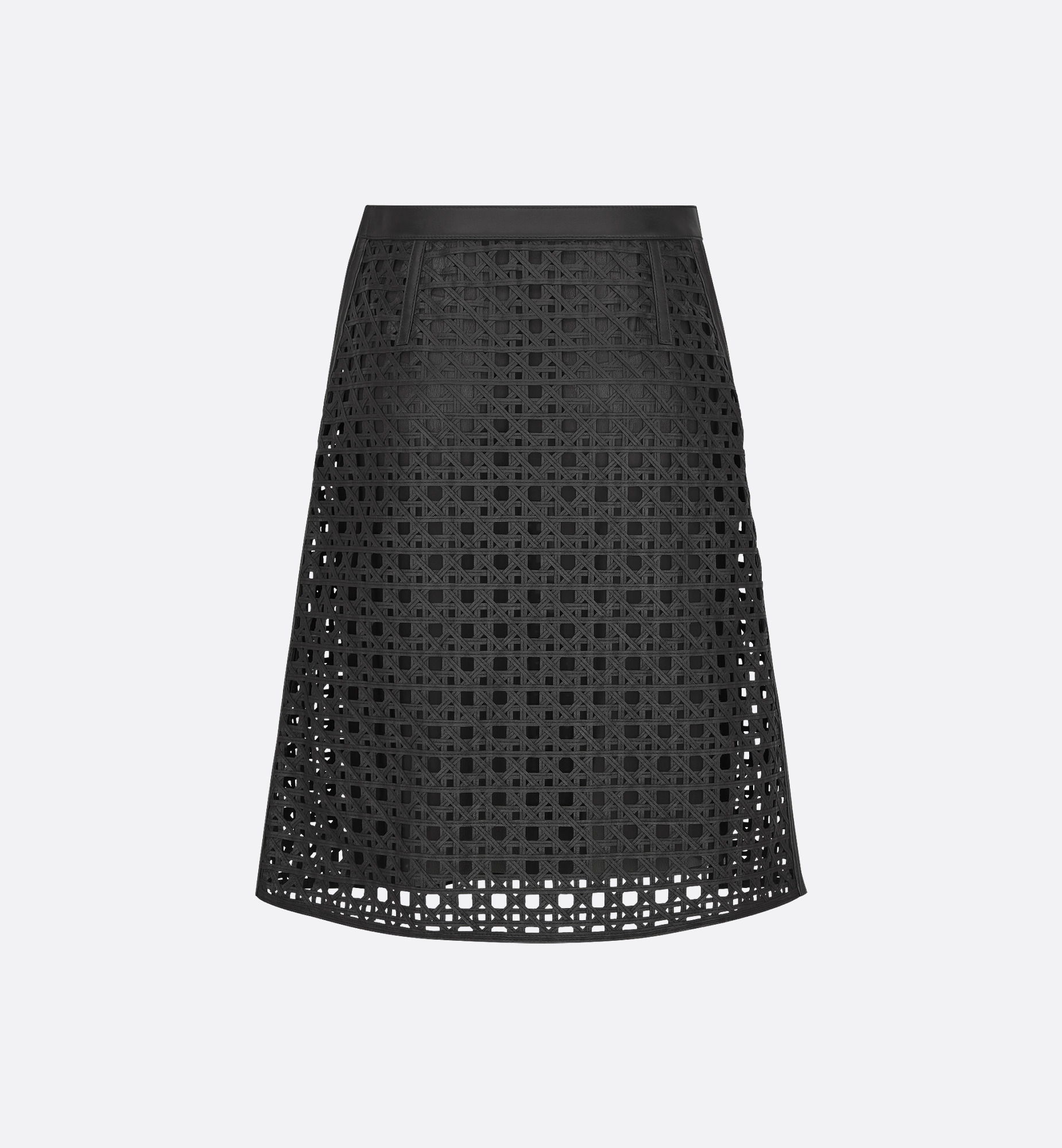 Macrocannage Skirt - 6