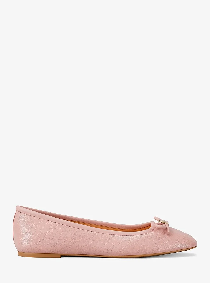 Savannah Ballet Flat - 1