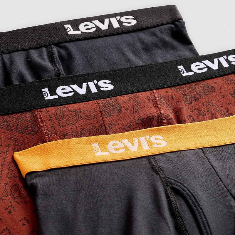 Levi's BOXER BRIEF (3 PACK) outlook
