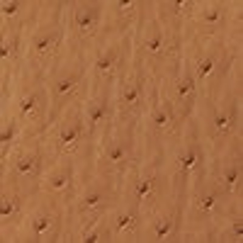 Small To Go Tote Bag in Ostrich 5